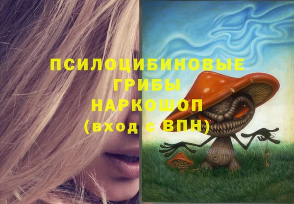 Альфа ПВП Дмитров
