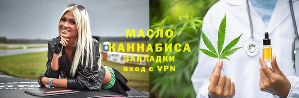 тгк Дмитриев