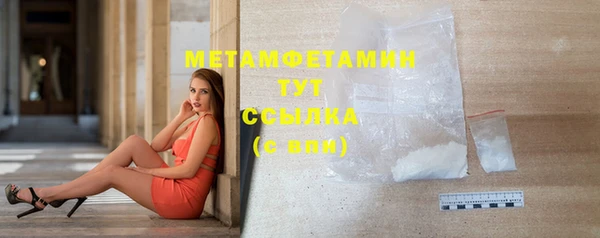 тгк Дмитриев