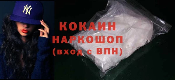 тгк Дмитриев