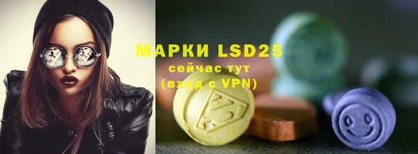 тгк Дмитриев