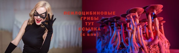 тгк Дмитриев