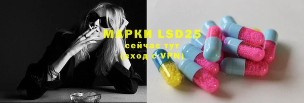 тгк Дмитриев