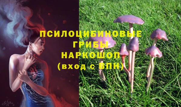 герыч Дмитровск