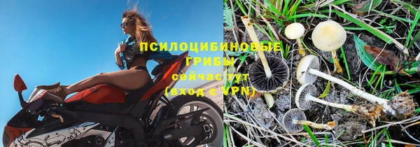 Альфа ПВП Дмитров