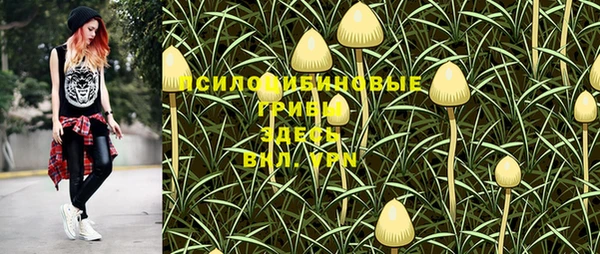 герыч Дмитровск